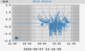 Wind Vector